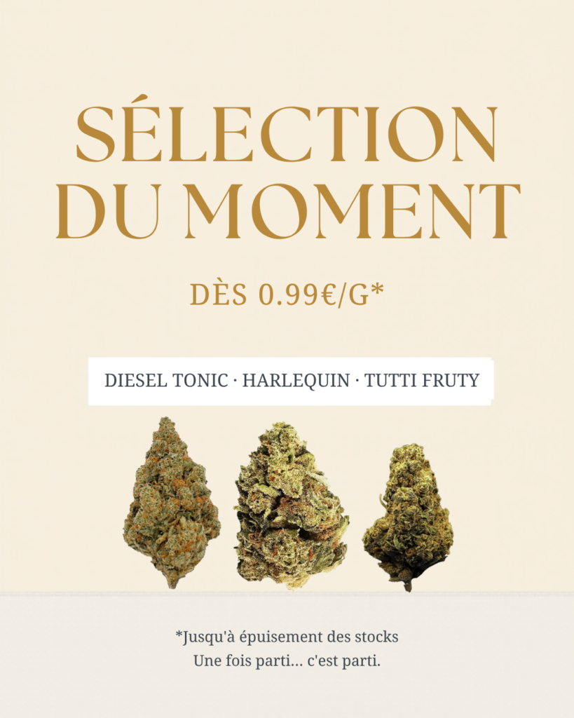 Bannière The Hemp Corner — Sélection du Moment, fleurs CBD Diesel Tonic, Harlequin et Tutti Fruty dès 0.99€/g, jusqu'à épuisement des stocks